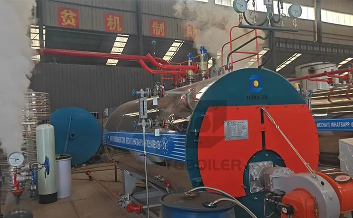 WNS2 Steam Boiler for Hong Kong: Final Factory Testing