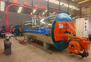 3 t/h Natural Gas Steam Boiler Solution for Distillery in Mexico | TGBOILER