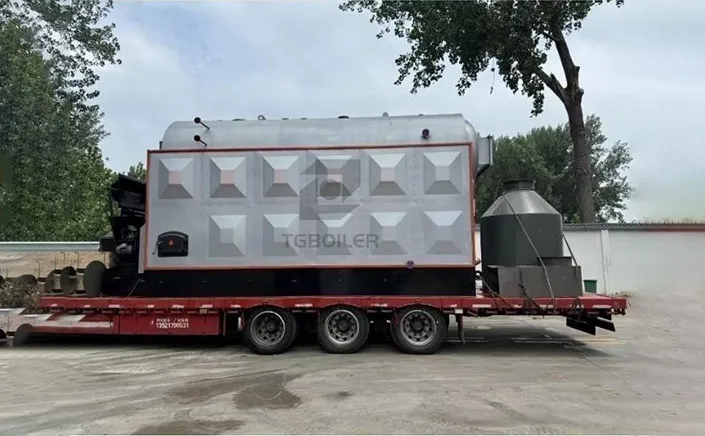 4 t/h Biomass Chain Grate Boiler Exported to Bangladesh