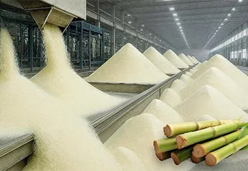 How to Choose the Most Efficient Boiler for Your Sugar Refinery: A Strategic Guide