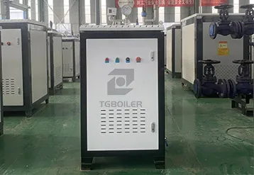 100kg/h Electric Steam Boiler – Clean Steam Solution for Medical Clinics