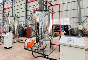 1 Ton Fully Automatic Vertical Steam Generator Project in Philippines