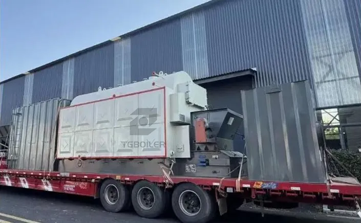 TGBOILER 3 Ton Biomass Boiler Shipped to Uruguay