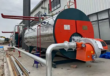 4 Ton Natural Gas Fired Steam Boiler Applied in the Dairy Industry in Egypt