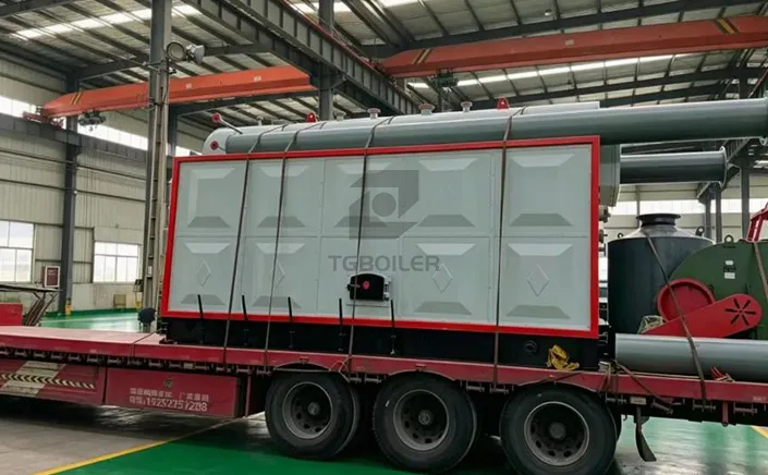 3 Ton Biomass Steam Boiler Exported to Brazil