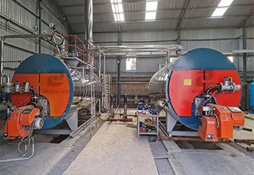 Two Sets 2 t/h Natural Gas Steam Boilers Empowers a Peruvian Textile Mill