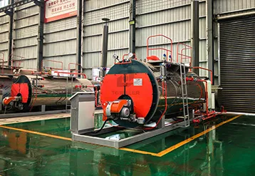 LPG vs. NG Boiler: A Complete Guide on Differences and Selection